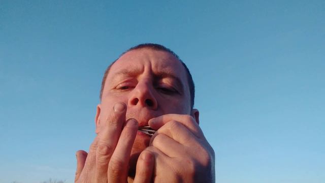 Дримба "Друїд" Майстра Дмитра Дзюби. Нота фа малої октави. Виготовлення дримби на замовлення. смотреть онлайн