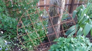 Лучшая простая опора для пионов от Qgarden. Обзор и установка на пион.