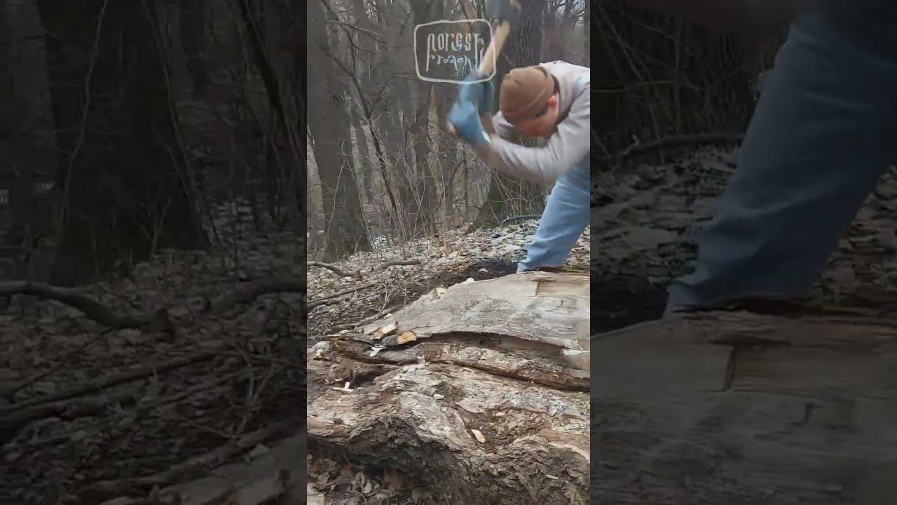 СТОЛЕТНИЙ ТОПОР В ДЕЛЕ✊! #выживание #bushcraft #survival #бушкрафт #forest #ковка #нож #самоделки смотреть онлайн