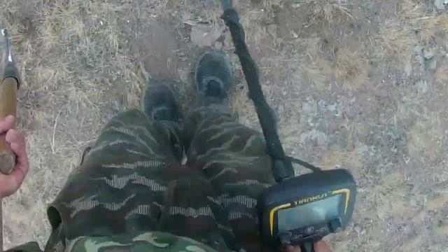 Павлодар. Поиск старины (монет Tianxun TX850, находки. Змея, смородина, полевые лекарственные трав смотреть онлайн