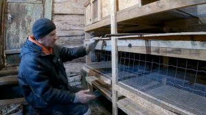 Бюджетный "ДВА в ОДНОМ" - большой брудер для цыплят и клетка для бройлеров своими руками!