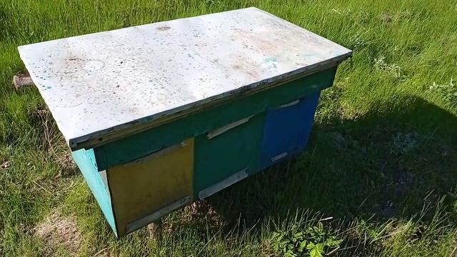 Быстрое расширение пасеки.Как удвоить пасеку. Как сделать отводки пчел.Готовим лесной точок (часть смотреть онлайн