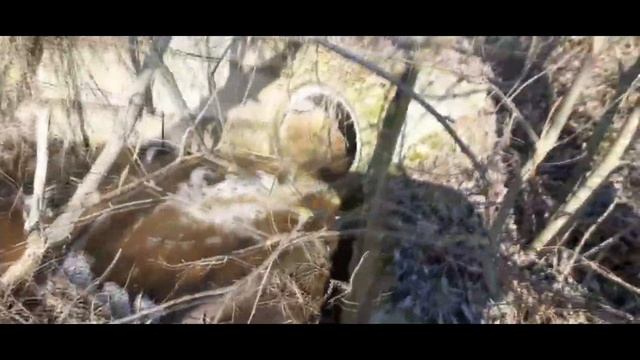 ОТКРЫТИЕ СЕЗОНА 2023!! Рыбалка на небольшом озере. смотреть онлайн