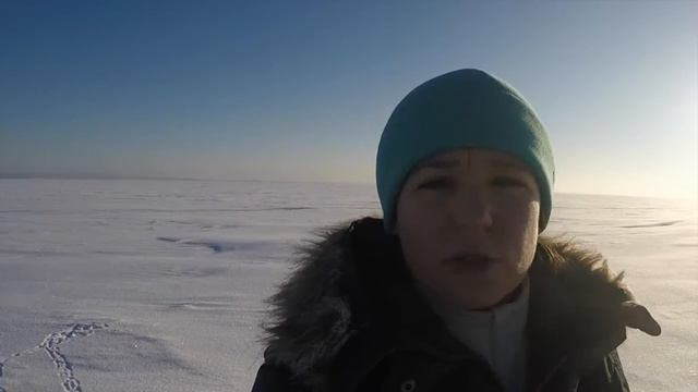 Летим с собакой первый раз. смотреть онлайн