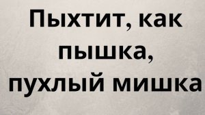 Тренажер по технике чтения. Скорочтение