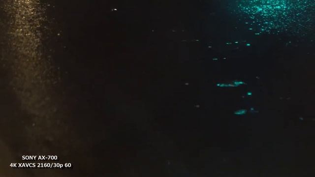 SONY AX700 4K2160 30p смотреть онлайн