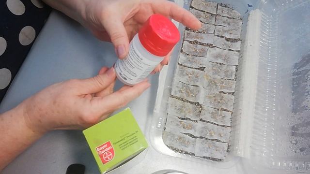 Посадка семян томатов с превикуром смотреть онлайн