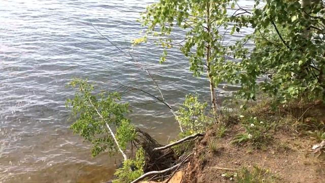 Истринское водохранилище, слип на базе Салют. #лодки #лодкипвх #базаотдыха #слип