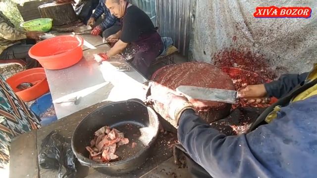 Хоразм Хива балиқ бозори САЗАН, ПЁСТРЫЙ, ЛАҚҚА НАРХЛАРИ смотреть онлайн