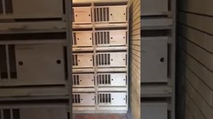 Гнёзда для голубей своими руками