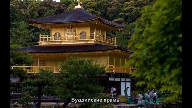 #1085. Буддийские храмы (Мировая культура) смотреть онлайн