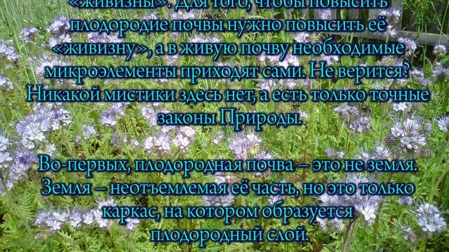 Плодородная почва? Легко и просто!