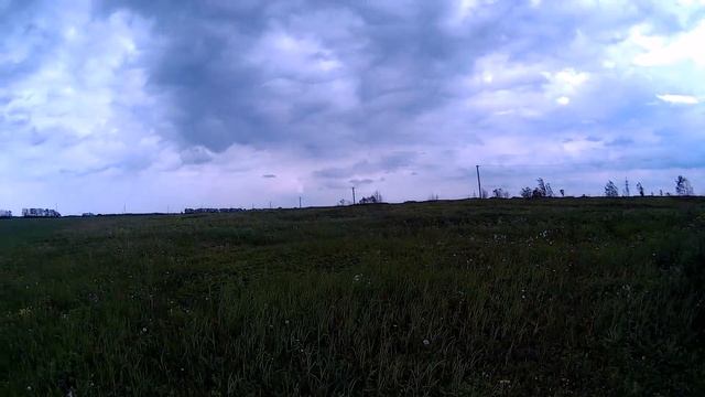 Ловушки для пчел. Способы установки ч.1 смотреть онлайн