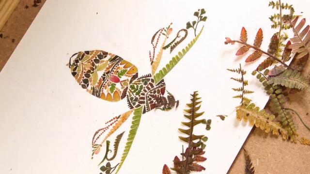 Honey Bee Made With Pressed Fern - Art Timelapse By Helen Ahpornsiri