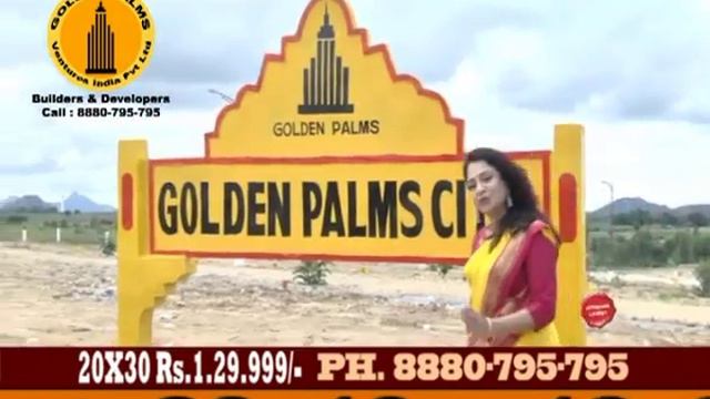 GOLDEN PALMS VENTURES смотреть онлайн