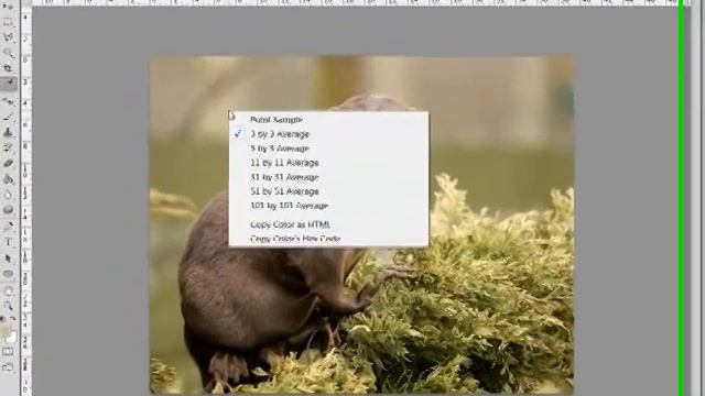 How to Access Tool-specific Menus in Photoshop or PSE смотреть онлайн