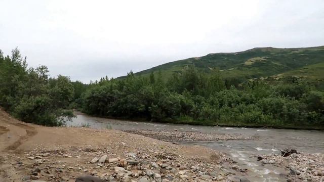Rving Alaska: Exploring Denali on a Green Bus in search of Grizzlies, Caribou and more смотреть онлайн