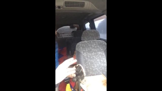 Трамблер для легендарного SR 20