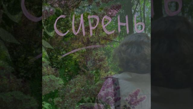 луна сегодня красивая - сирень смотреть онлайн