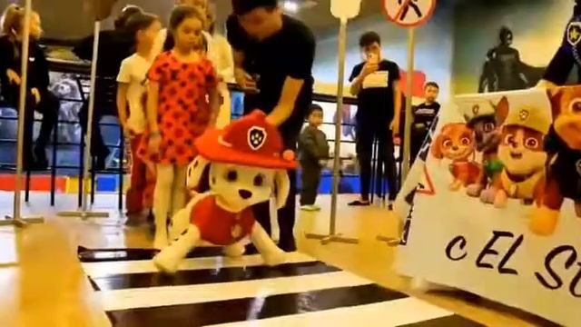 Кукольный театр. Кукольный спектакль «Щенячий Патруль» от EL Studio. www.elstudio-event.com смотреть онлайн