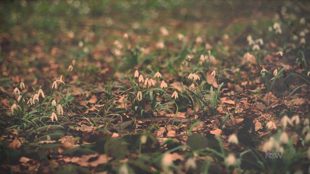 Robert Rich | Modular Improvisation смотреть онлайн