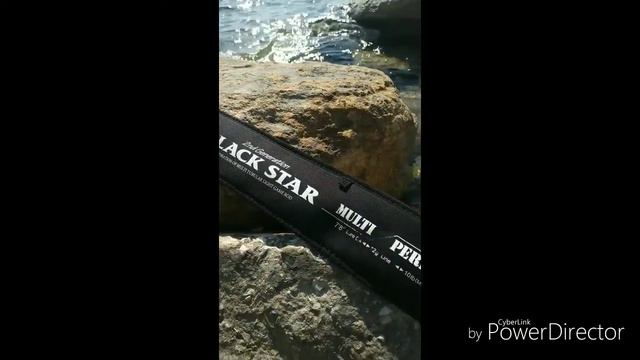 Рыбалка . Поимки саргана и луфаря. смотреть онлайн