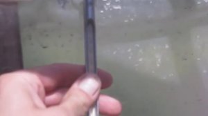 Биогаз из птичьего помета.