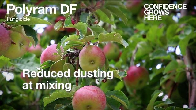 Polyram DF Fungicide – For Confidence In Fruit Finish
