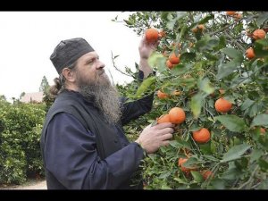 Наша главная ошибка на пути к святости (практика Иисусовой молитвы)