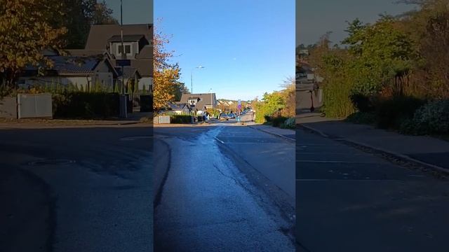 Краски осени. Хэллоуин в Швеции. А грибочки то есть. Из серии " Грибы в городе."1 ноября 2023 года. смотреть онлайн