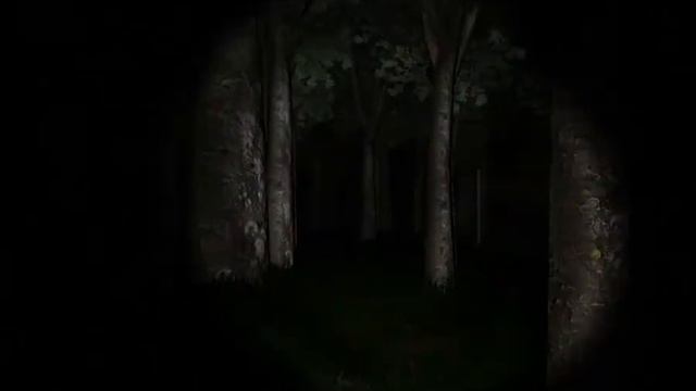 ЙИИЛИТНАЯ игра в Slender - The Eight Pages смотреть онлайн