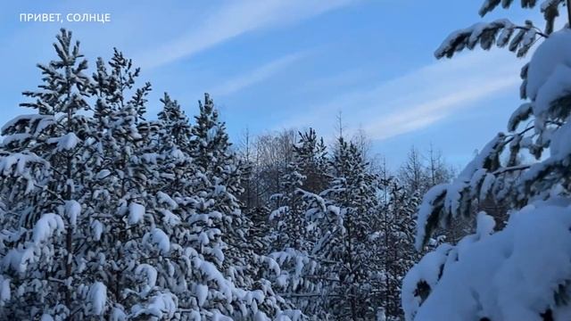 1 ЧАС Медитация для сна. Терапевтическая сказка перед сном для женщин: "Хижина в снежном лесу" смотреть онлайн