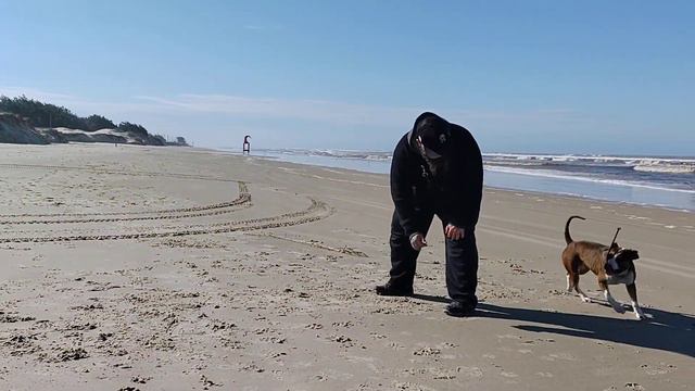Sem edição: June brincando de bolinha na beira da praia смотреть онлайн