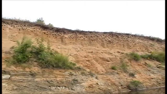 По реке Нее (1 ч) смотреть онлайн