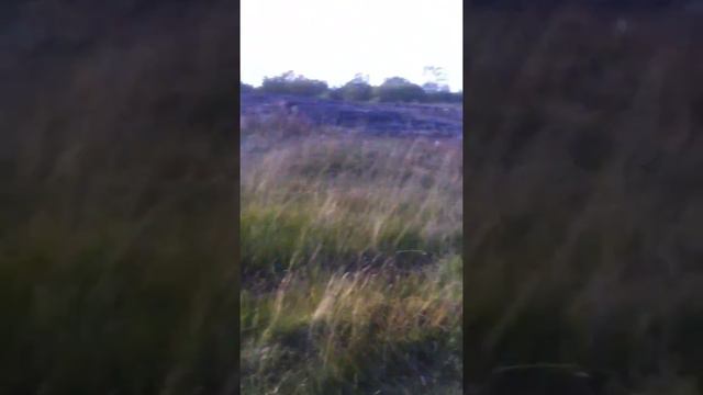 Белое море,начало путешествия) смотреть онлайн