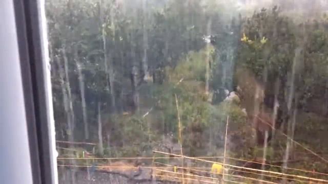 Летний ливень. Батуми.