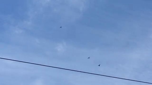 20.06.18г.Про насекомое в нутрии шишки! смотреть онлайн
