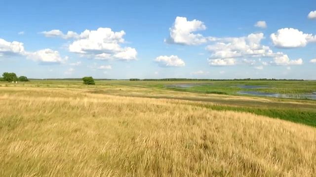 Крепость Становое! Северный КАЗАХСТАН. смотреть онлайн