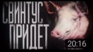 СБОРНИК ПРЕВЬЮШЕК WORLD BEGEMOT KOT (по типу кремируйте ее быстрее)