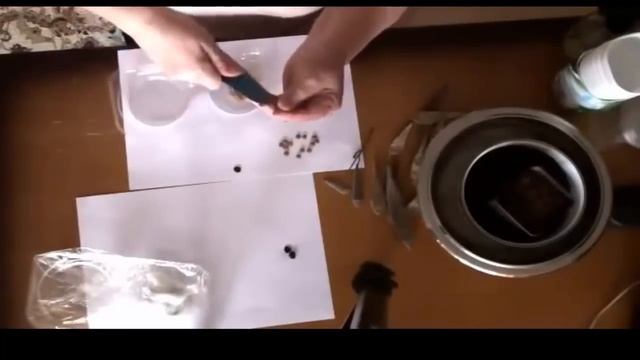 Глициния 1 Размножение семенами. смотреть онлайн