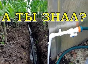 Ленивому дачнику: АВТОПОЛИВ своими руками???