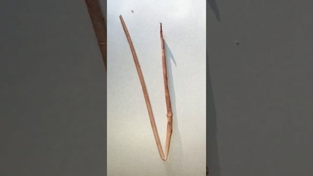 Морилка из листьев ореха для газетных трубочек. смотреть онлайн