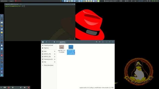 Solución al Error de Ninja IDE en Debian 9 que no inicia смотреть онлайн