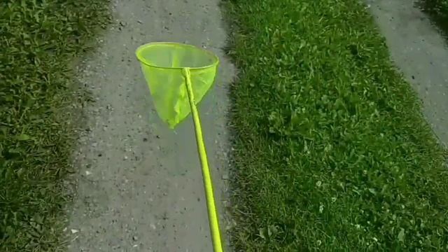 как хорошо обращаться с сачком, как поймать бабочку белянку или нимфалиду смотреть онлайн