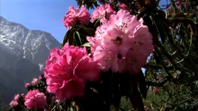 Можно ли увидеть Бога?.avi