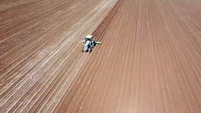 Крестьянские будни. Зарисовочка ко Дню работника сельского хозяйства.