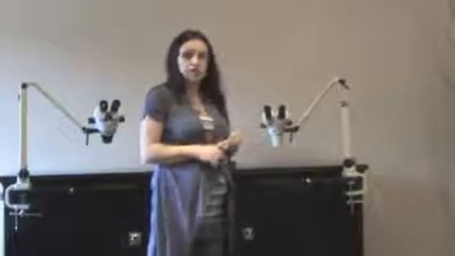 LW Scientic : Laboratory Grade Stereoscope