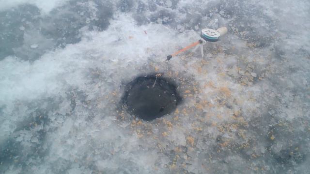 Чудское озеро 2018 смотреть онлайн