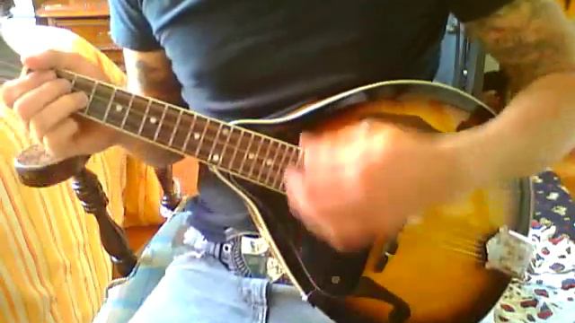 Rose Tattoo - Dropkick Murphys (mandolin cover) смотреть онлайн
