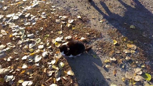 часть 1. деревня.приехал в деревню в отпуск, как живут люди, чем занимаются, плюсы и минусы! смотреть онлайн